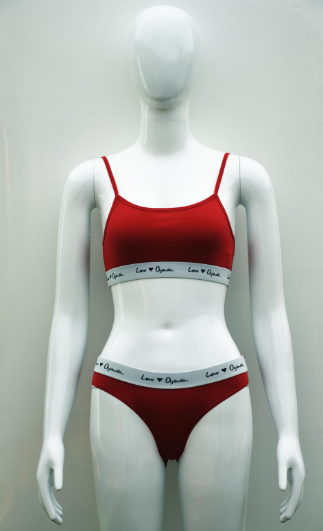 Ladies' underwear set