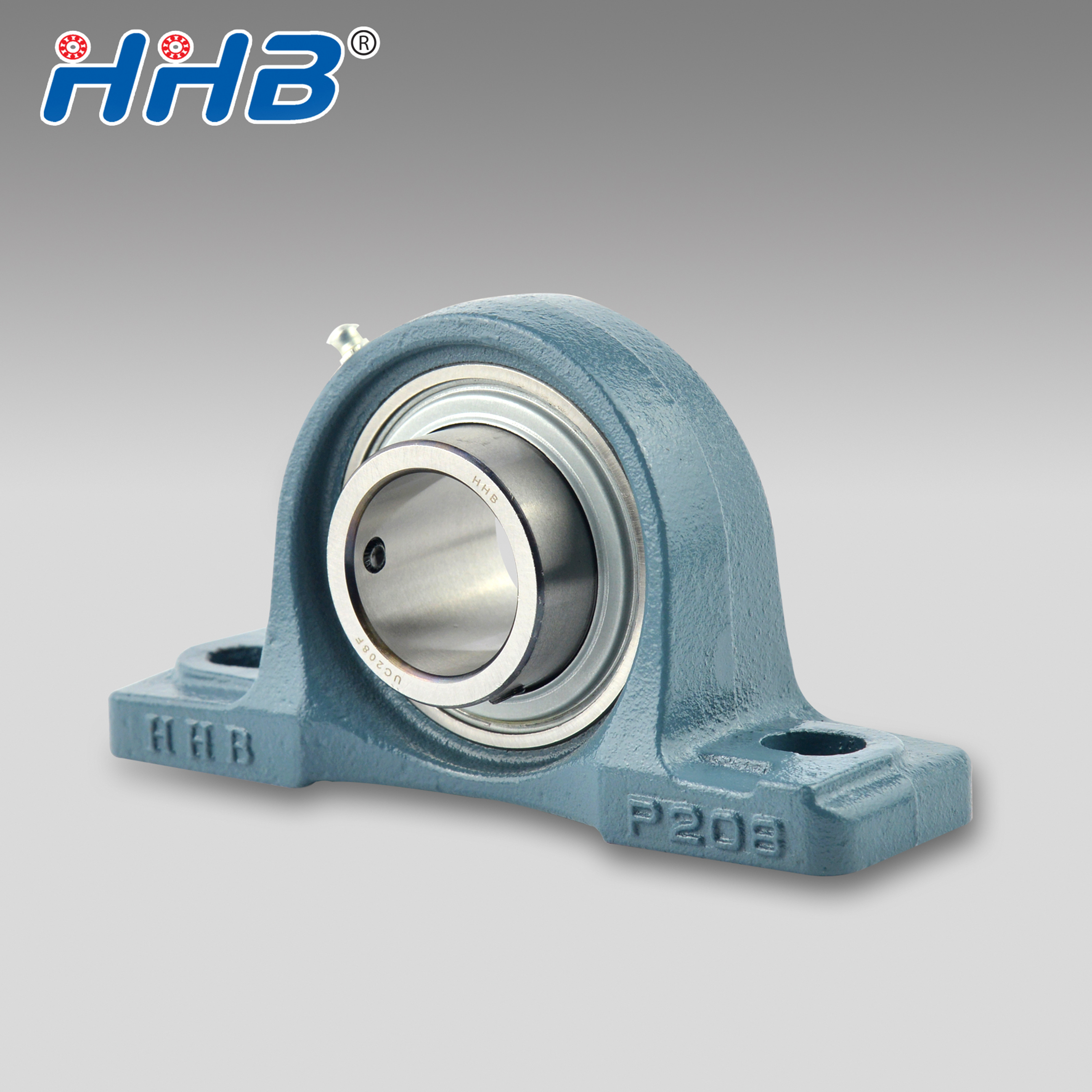 Hebei Hailan Bearing Manufacture Co.,Ltd – molde de inyección 1
