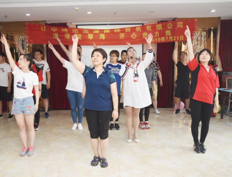 Liaoning Hongyun Haoyuan International Trading Co., Ltd. – shag carpets 3