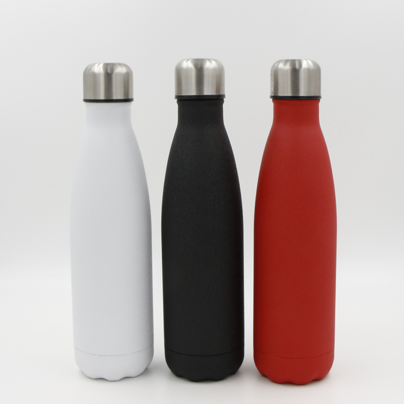 Stainless Steel Water Bottle