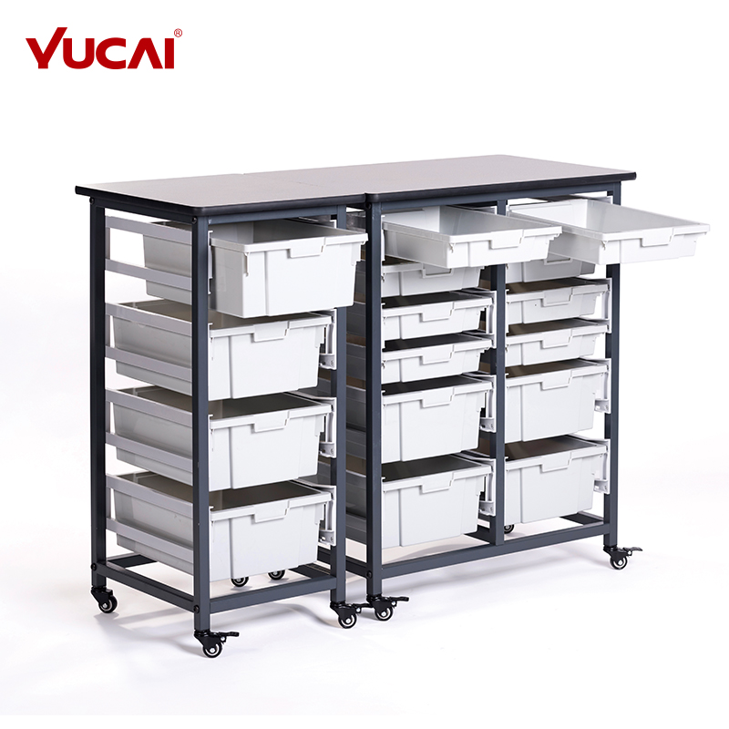Mobile Storage Cabinet with two different sizes storage boxes