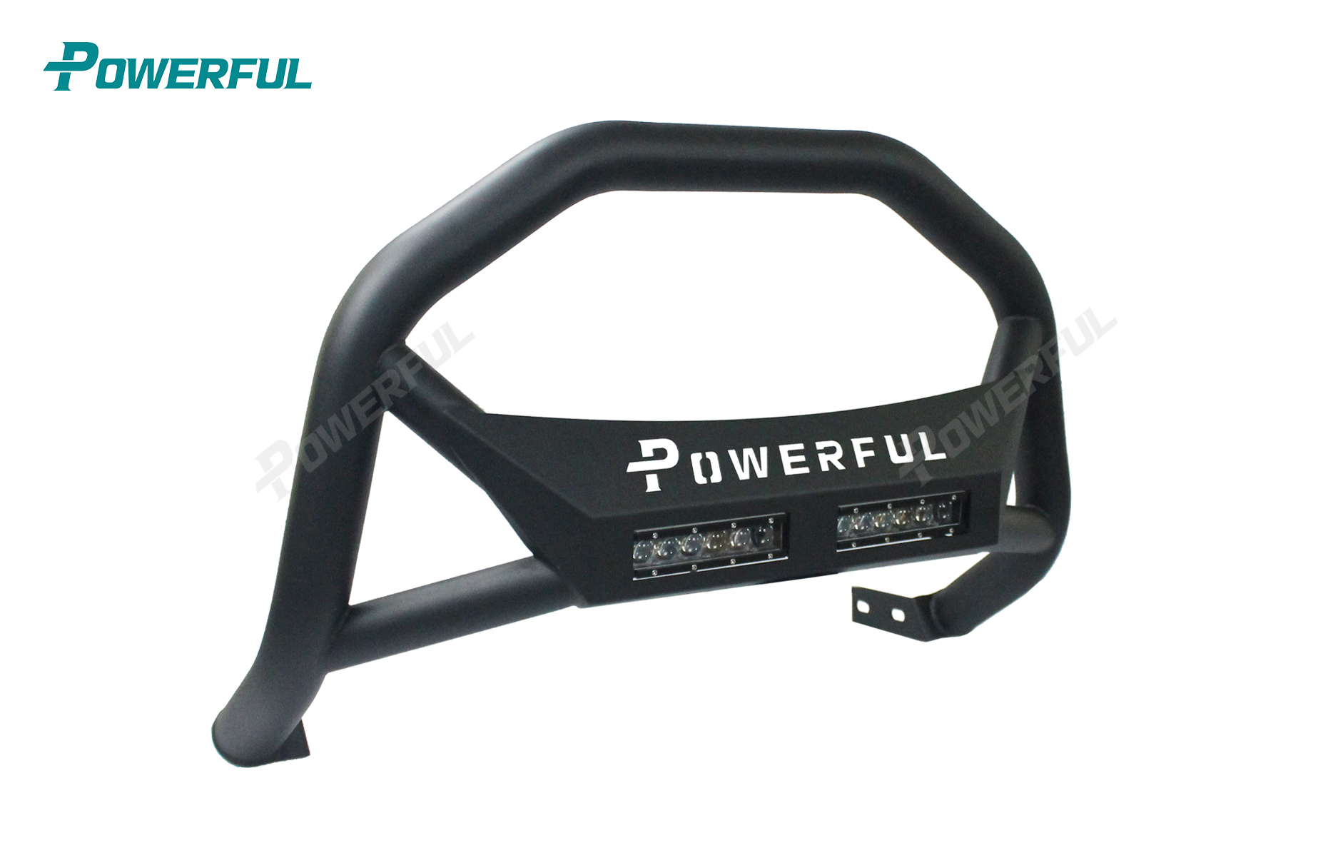 Black Grille Guard