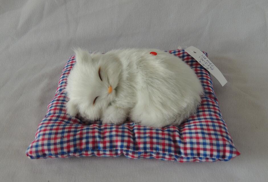 Sleeping cat with sound
