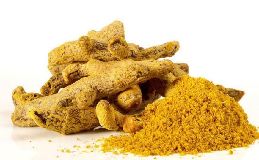 Rhizome of Common Turmeric