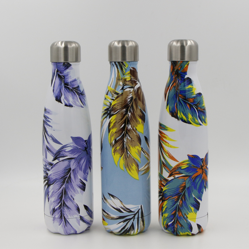 Stainless Steel Water Bottle
