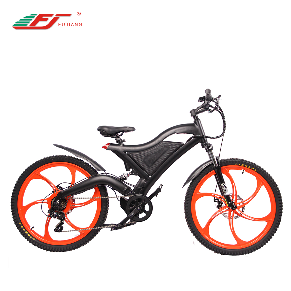 Changzhou Fujiang Vehicle Co.,LTD – Lithium battery 3