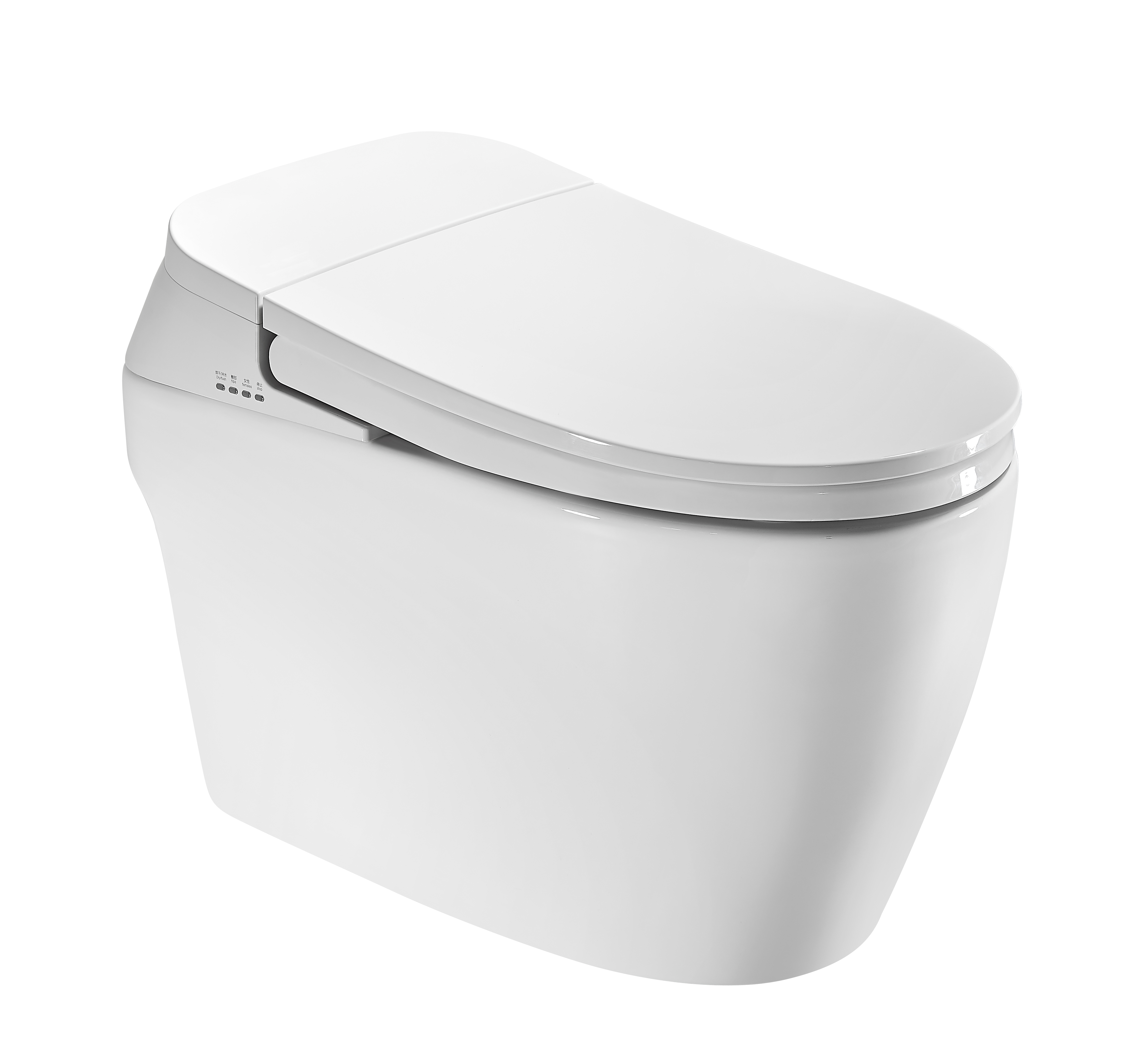 Intelligent toilet