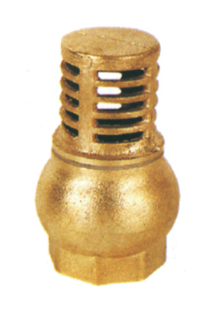 Foot valve