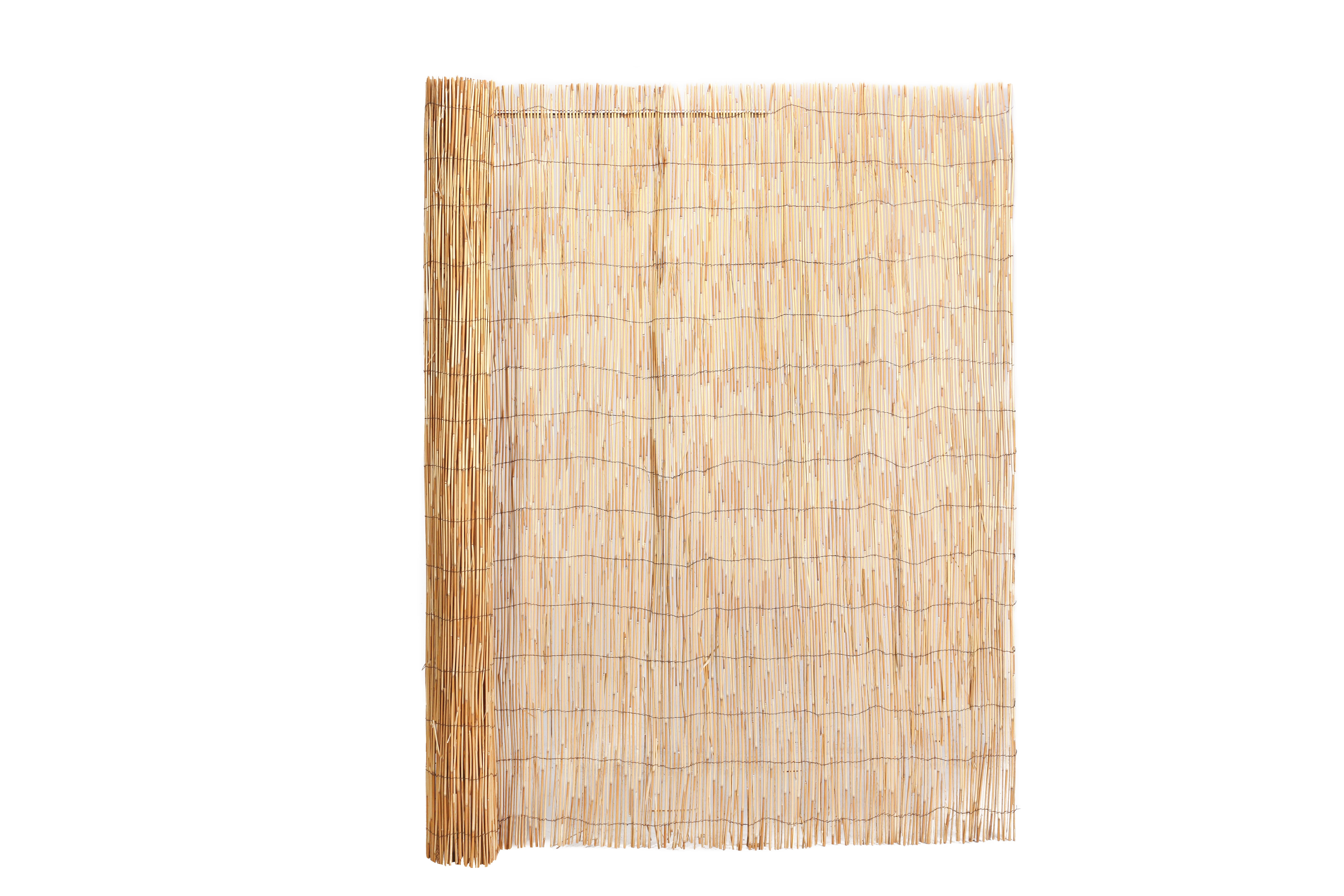 Reed Fence