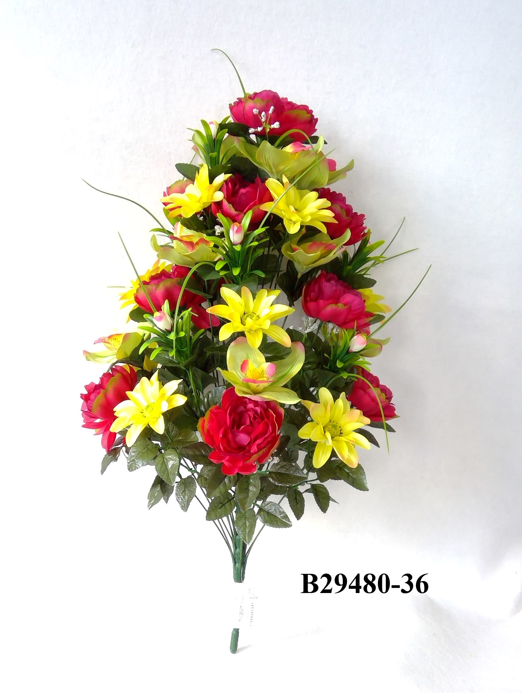 Peony mum orchide mix bush x 36