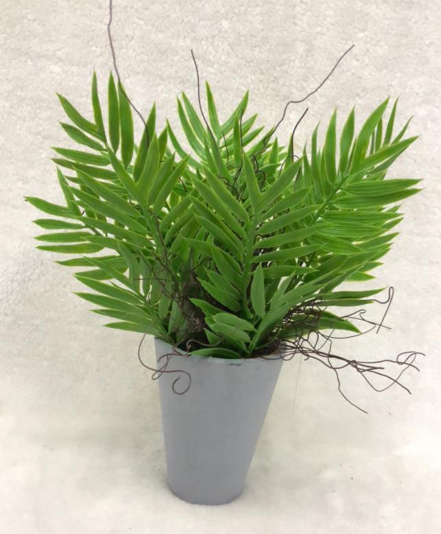 125#small Potted Grass