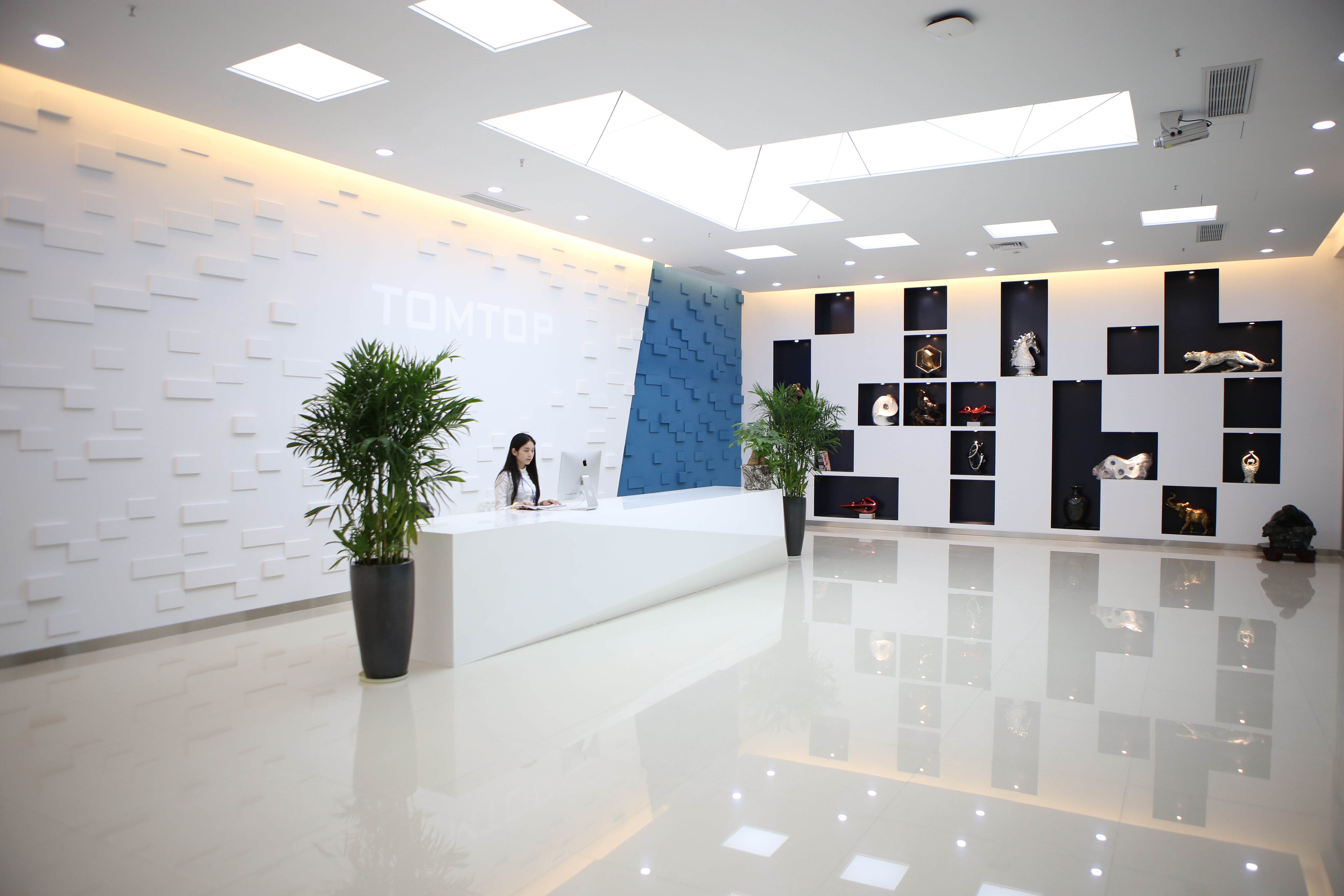 Shenzhen Tongtuo Technology Co., Ltd. – Other home decorations 1
