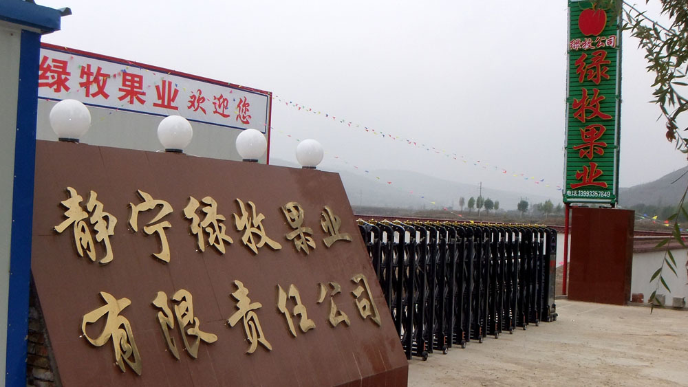 Jingning Lvmu Fruit Industry Co., Ltd. – fresh apples 1