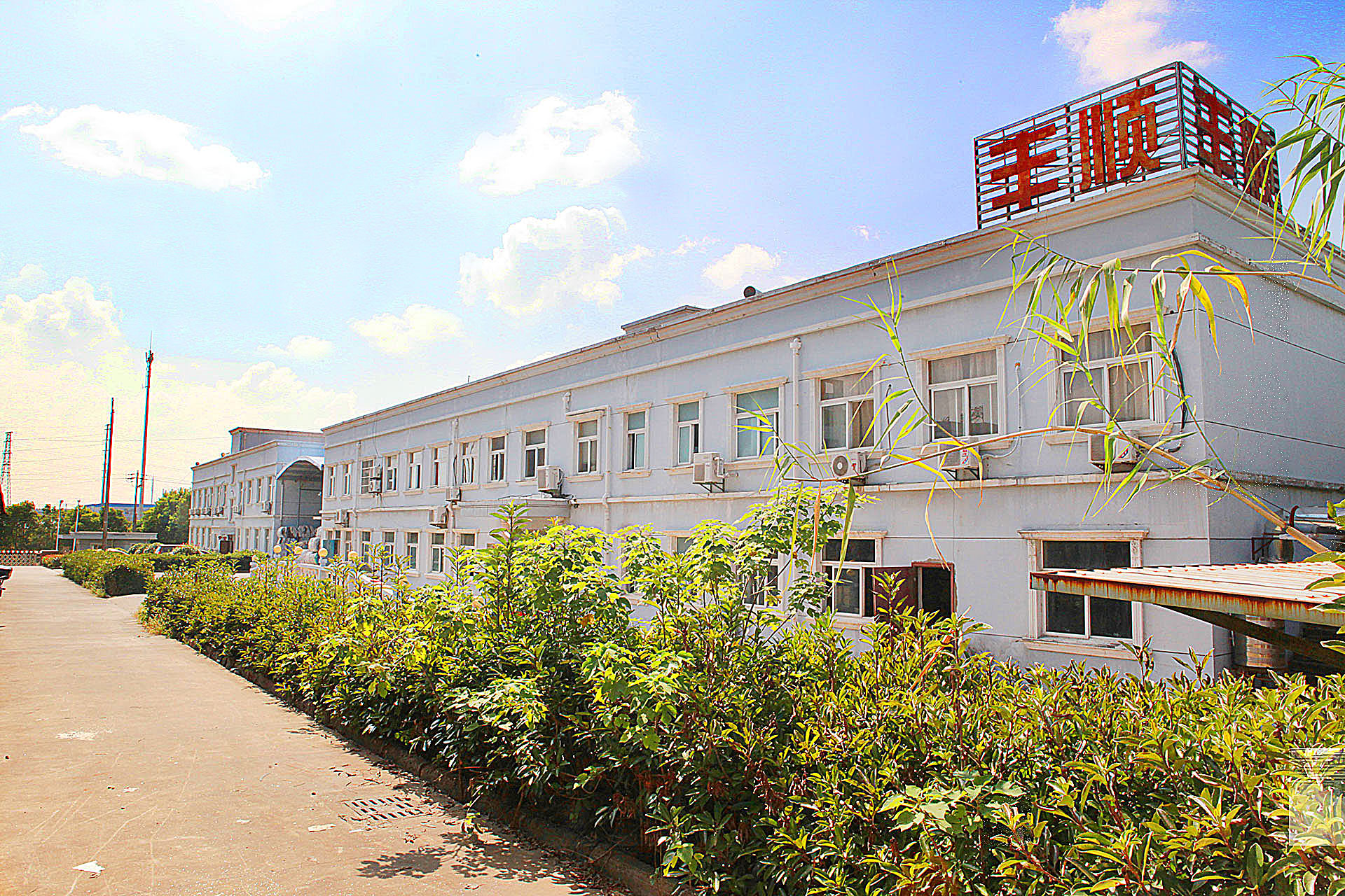 Fengshun (Xuancheng) Rope and Belt Manufacturing Co., Ltd. – Photos produits 2