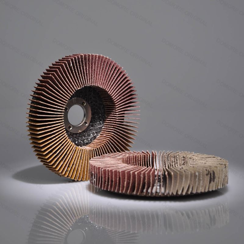 Flap Disc