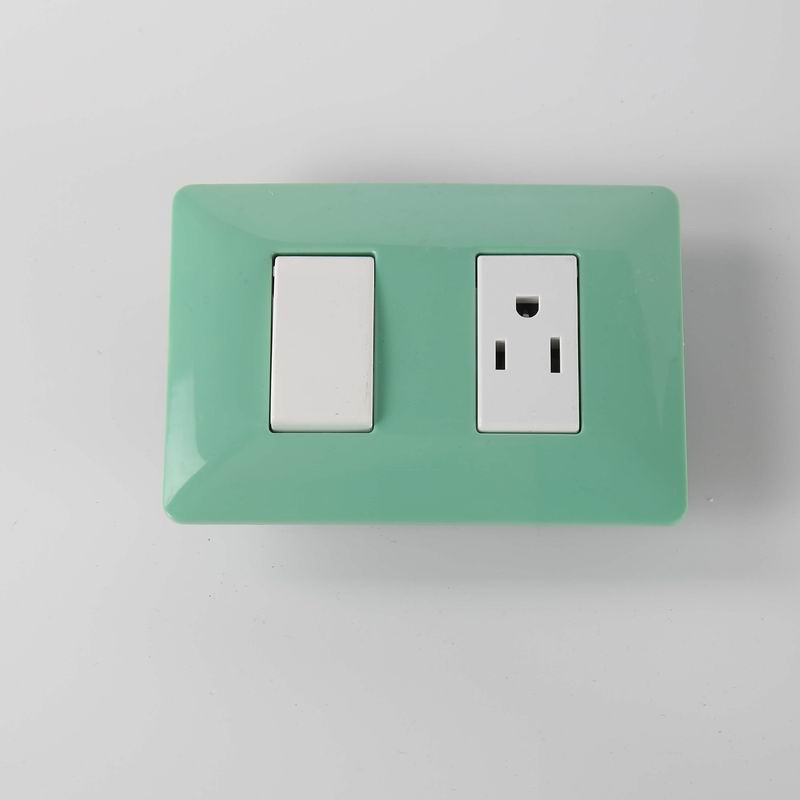 Wall plate switch
