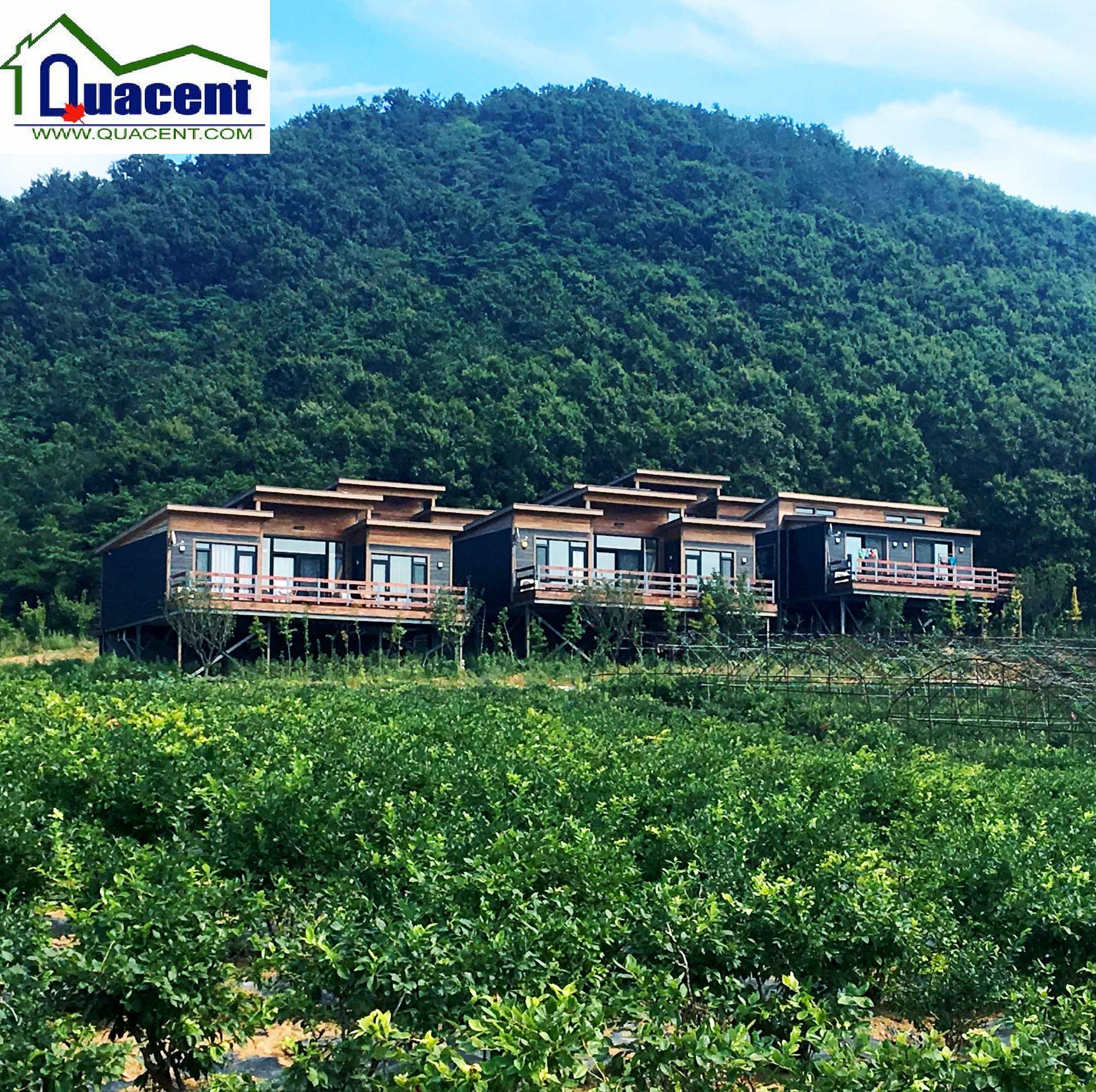Cheap Light Gauge Steel Prefab House