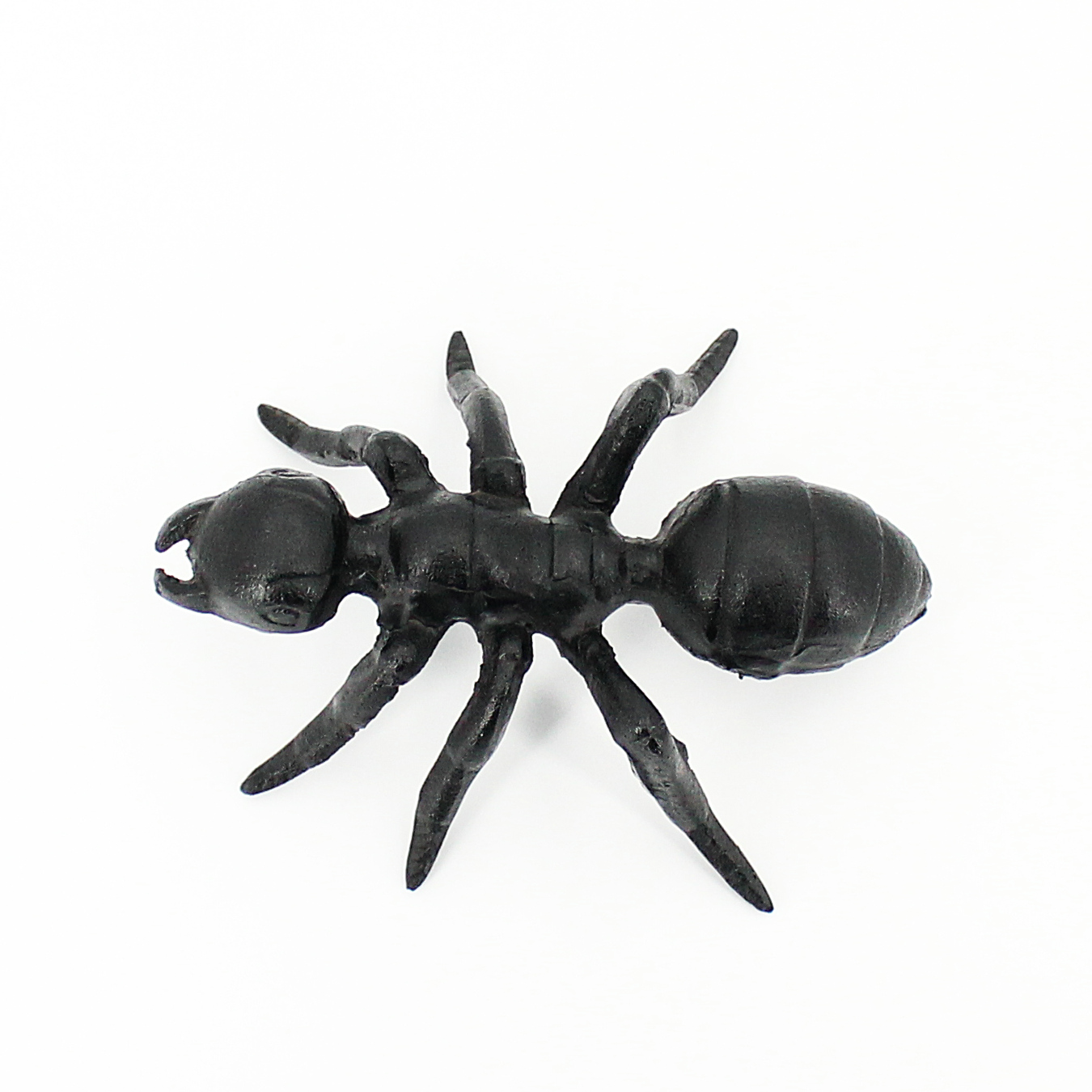 ant home decoration