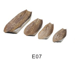 bamboo sheath boat