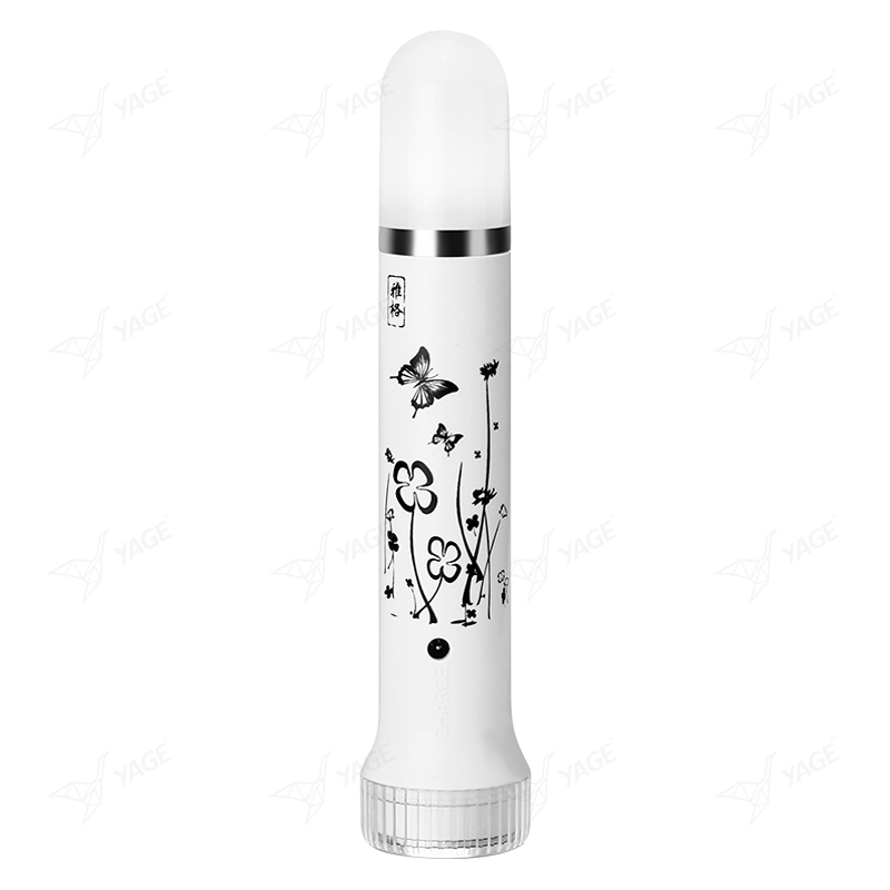 Rechargeable LED Torch