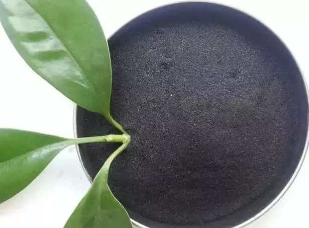 Humic acid powder