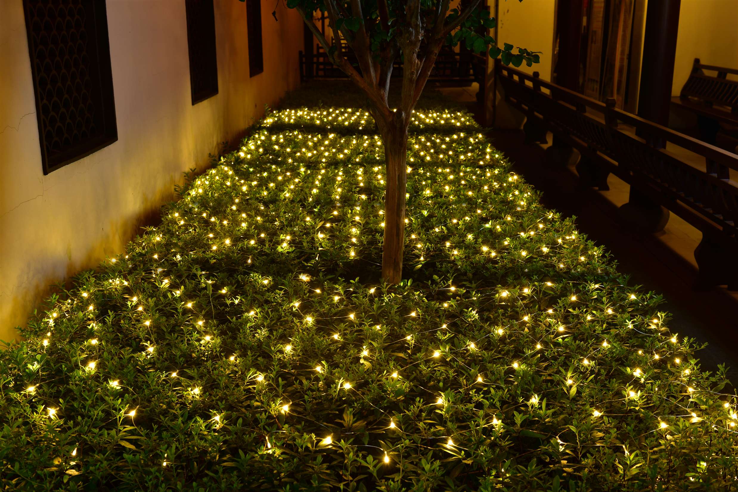 30V120L LED Net Lights,dark green wire,warm white bulb color,1.5m*1.5m