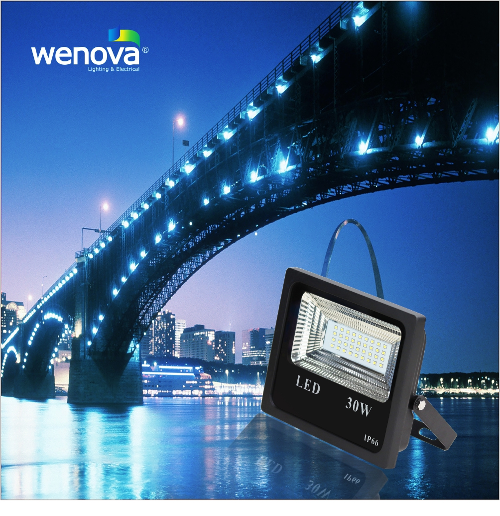 LED Flood Light