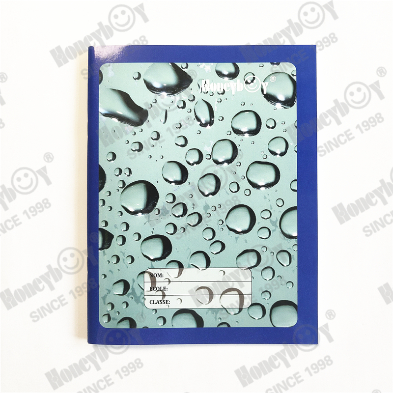 saddle stitch different pages french line ruling exercise book
