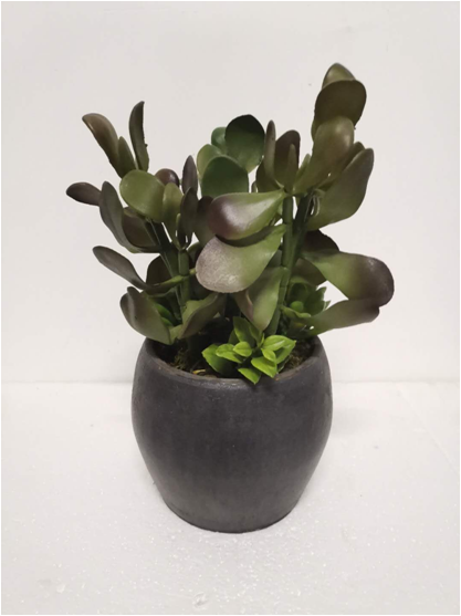 Flower pot