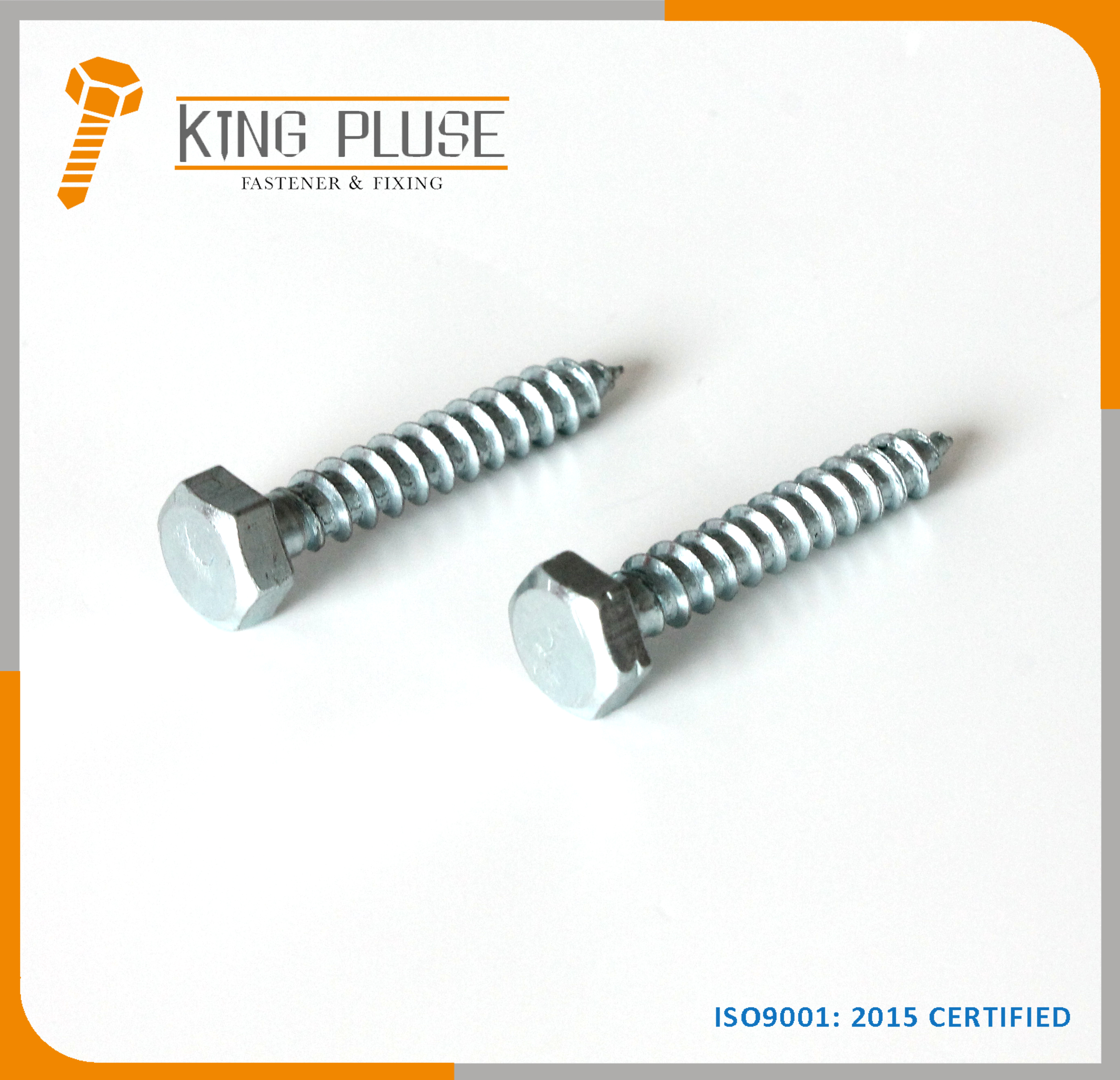 Hex Lag Screw/Tirafon Tornillo
