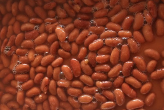 Canned Pinto Beans/ Light Speckled Beans /Light Red Beans