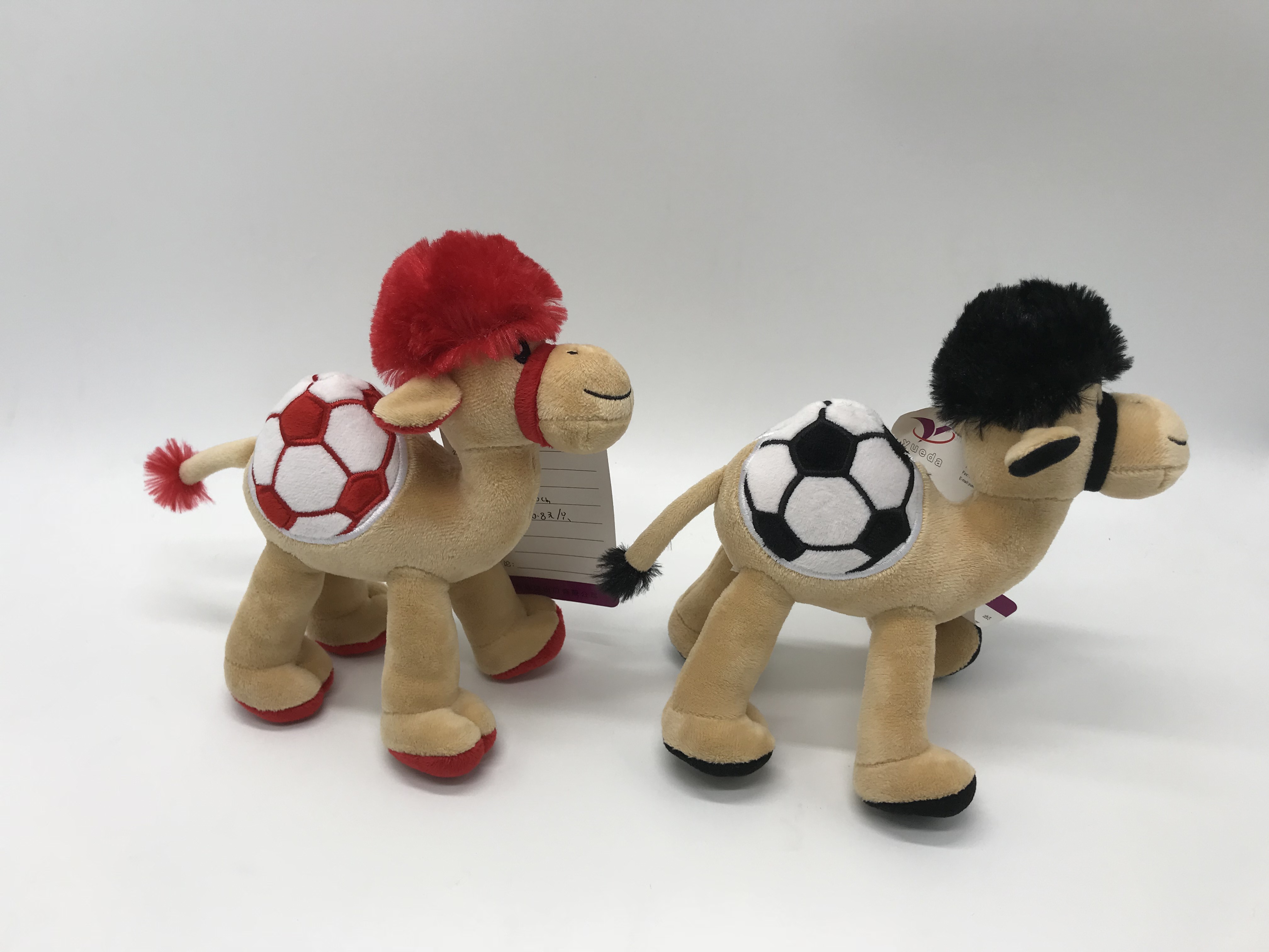 camel