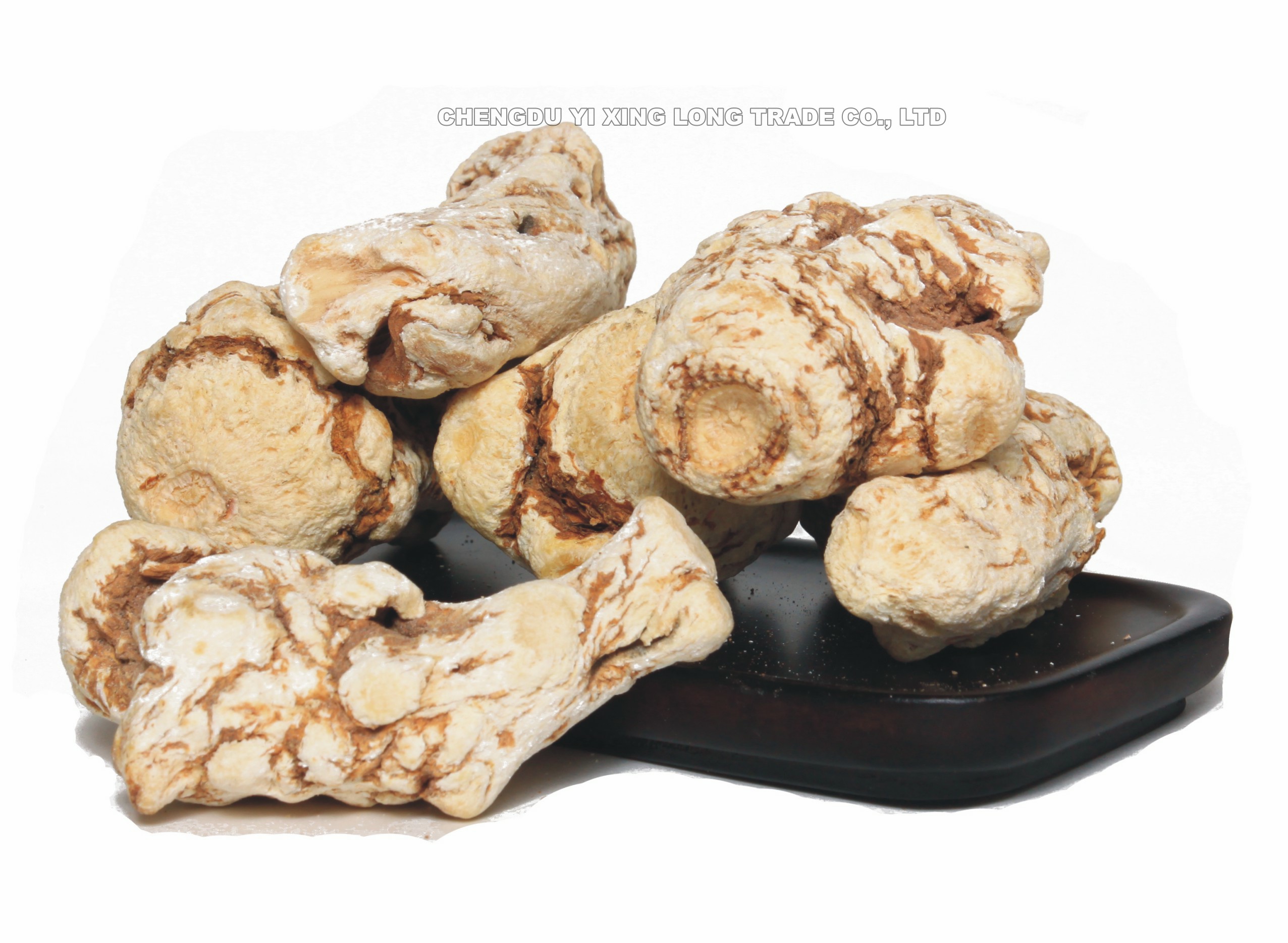 CHENGDU YIXINGLONG TRADE CO.,LTD. – raqueta de tenis 2