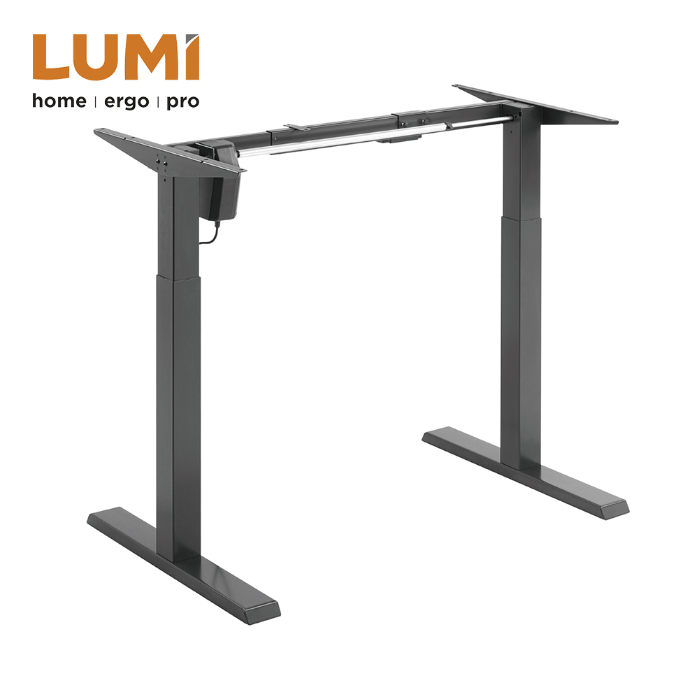 Electric Sit-Stand Desk Frame