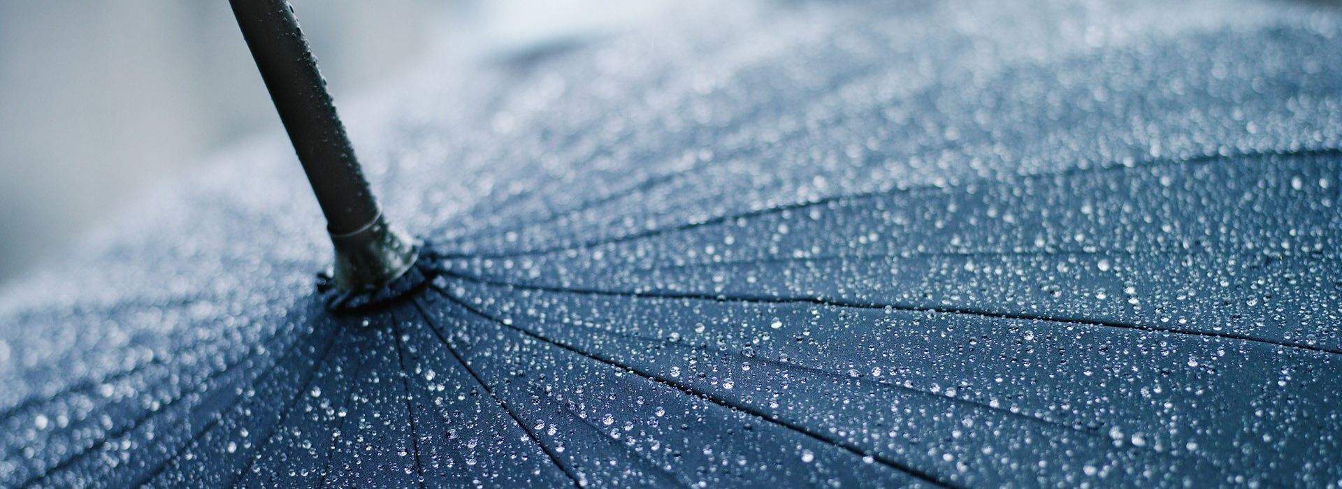 Waterproof Taffeta for Umbrella 01