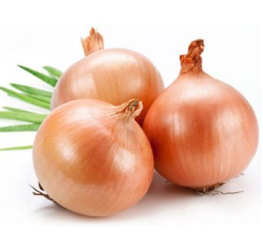 Yellow Onion