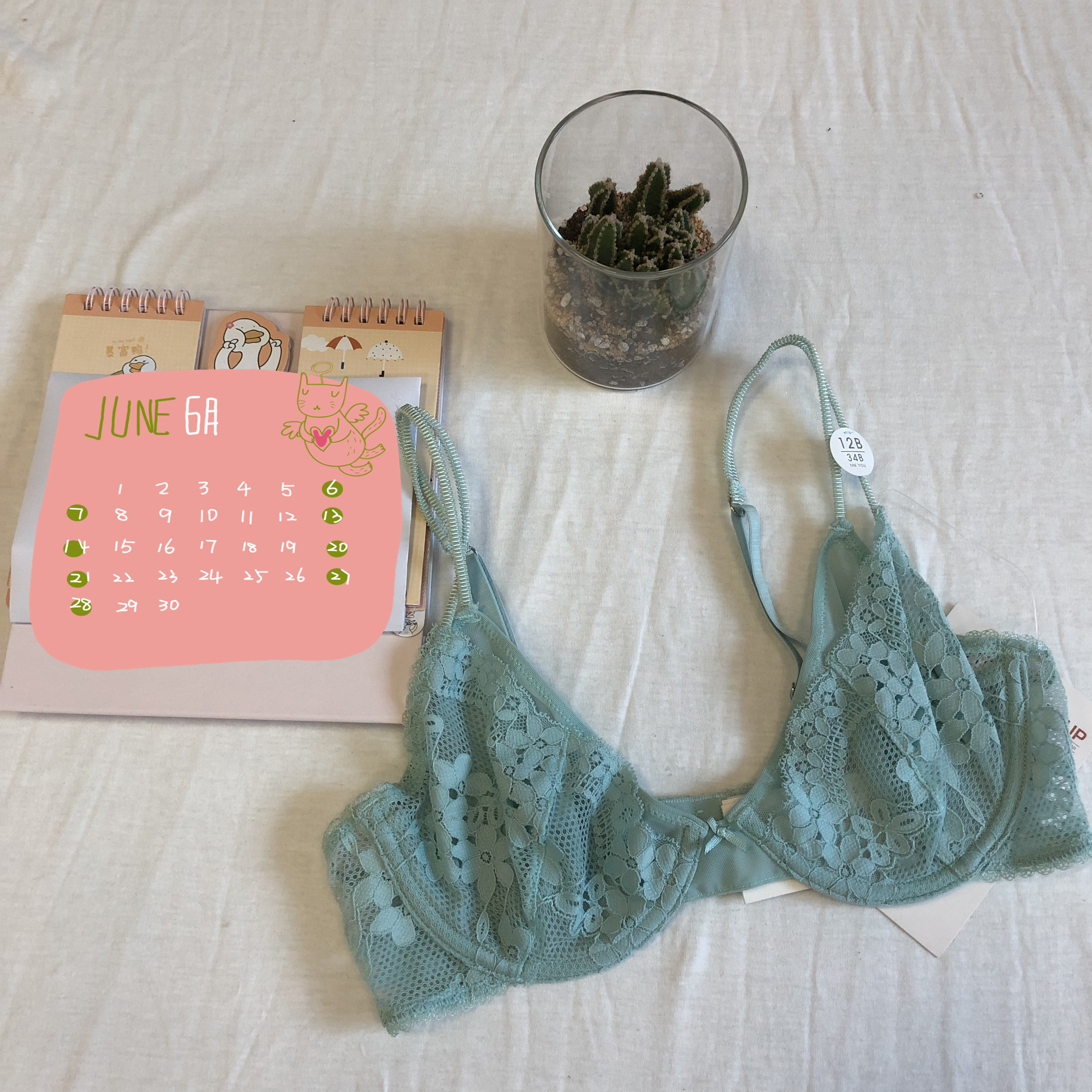 ladies underwear/bra