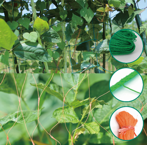 Garden net