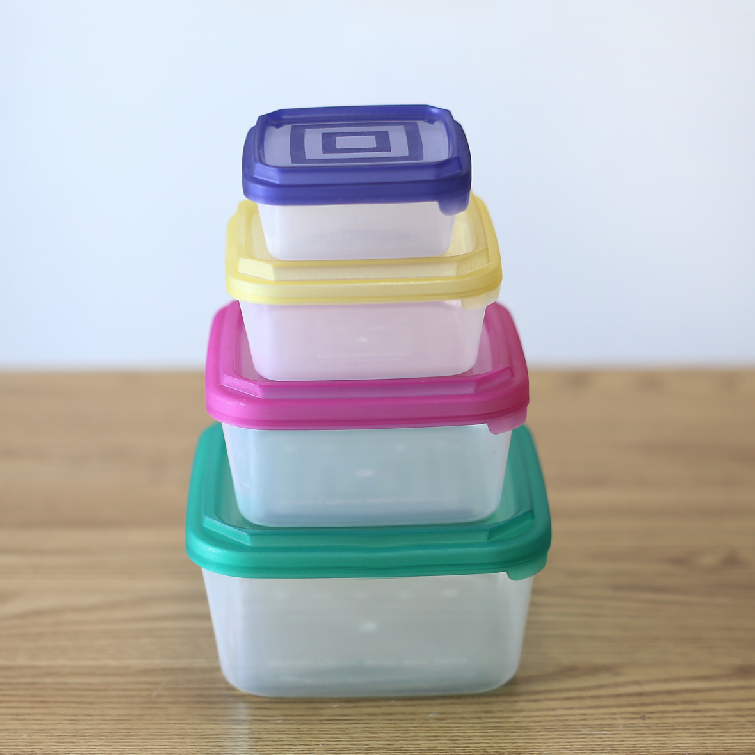 Storage/Freezer Boxes