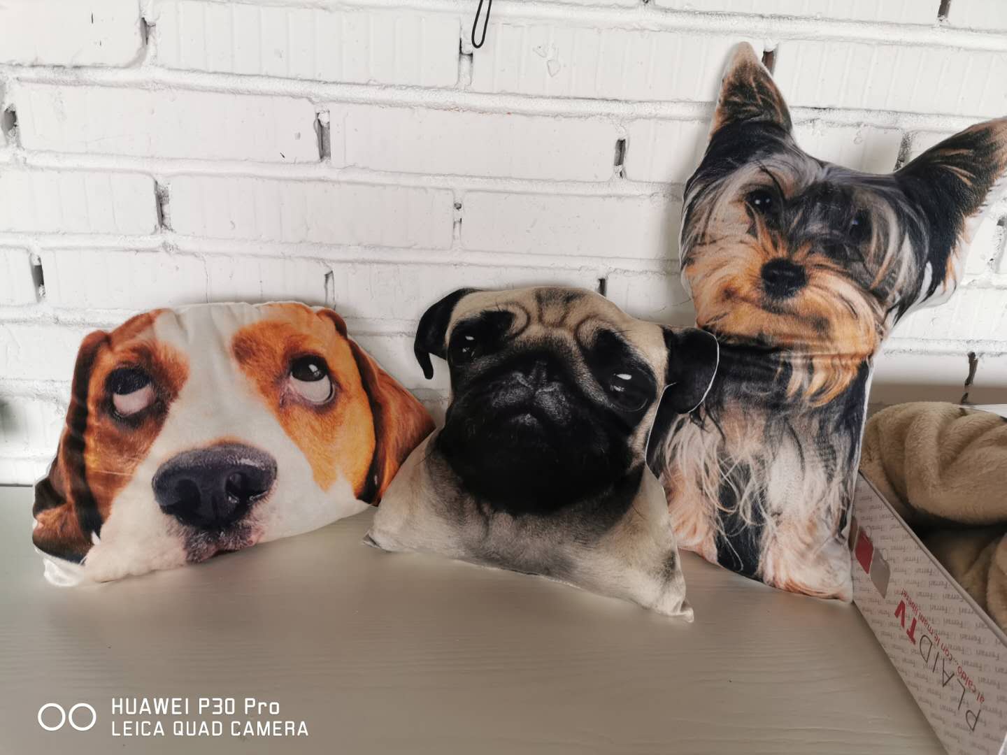 digital printed cushion