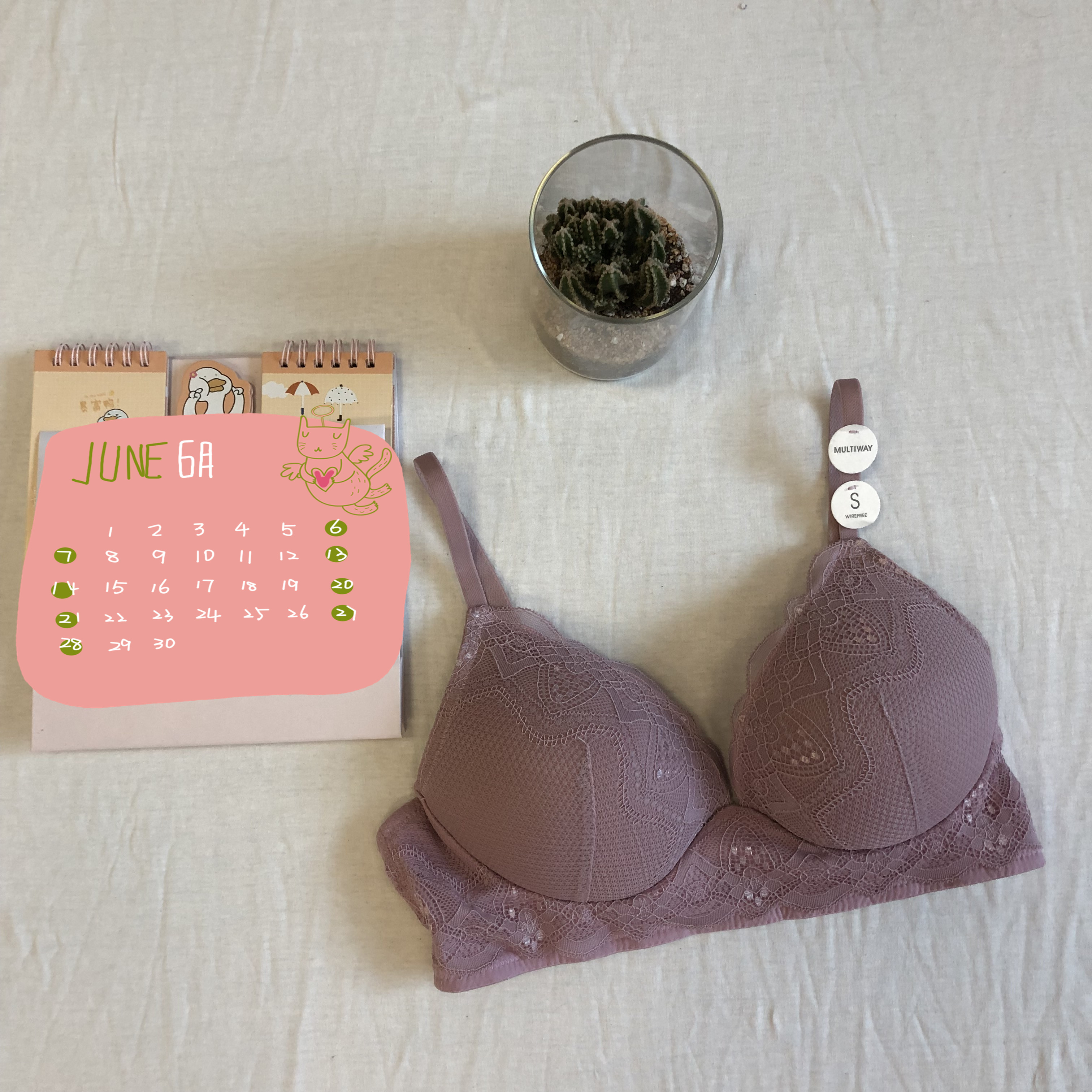 Ladies underwear/bra