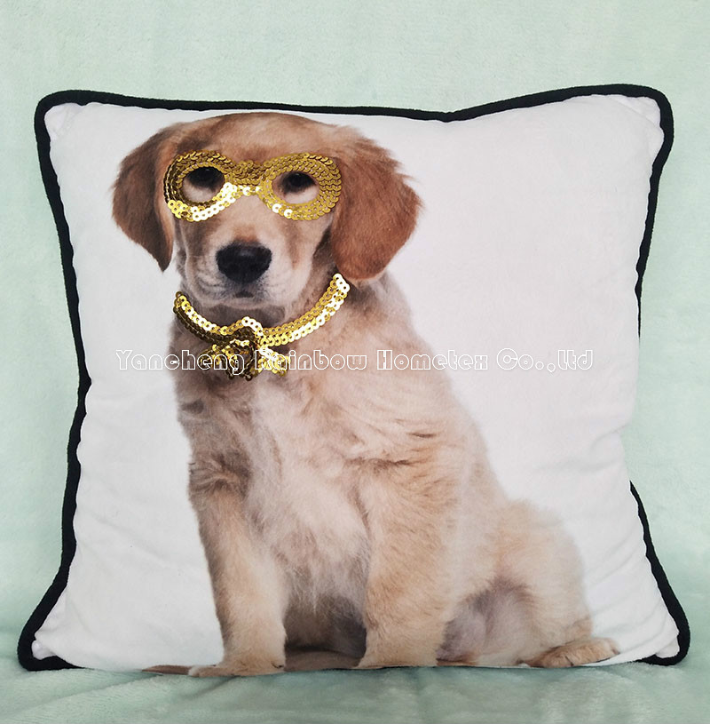plush cushion with sequins