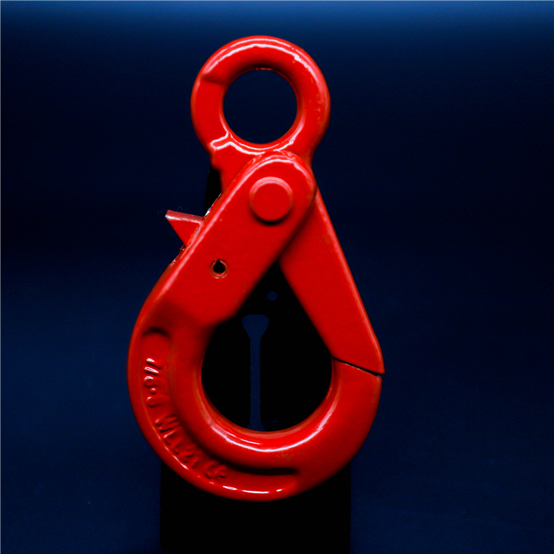BAODING DINGLI SLING CO.,LTD – Lever block 4