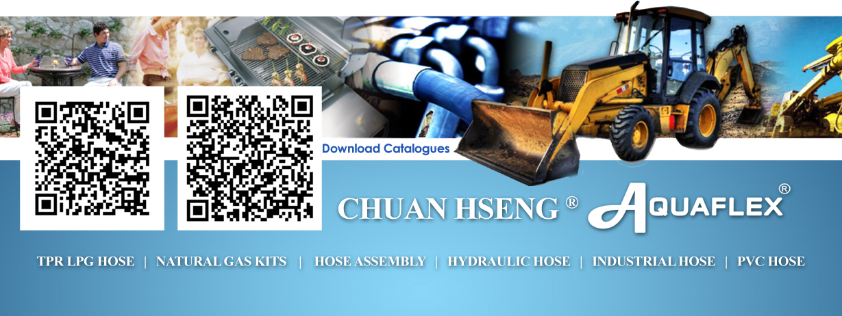 Jiangxi Baorui High Polymer Technology Co., Ltd. – Other plastics and their products 1