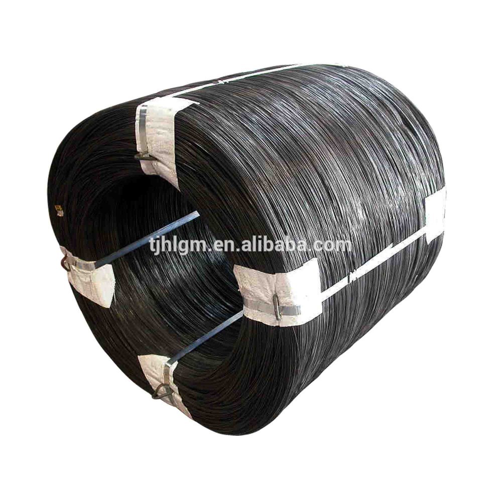 TIANJIN HONGLI QIANGSHENG IMPORT AND EXPORT CO.,LTD. – tuerca hexagonal 3