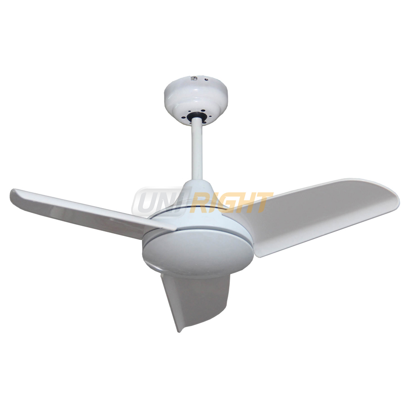 30" Decorative Ceiling Fan