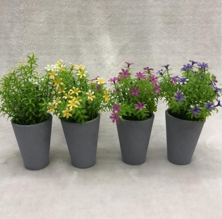152#potted Grass