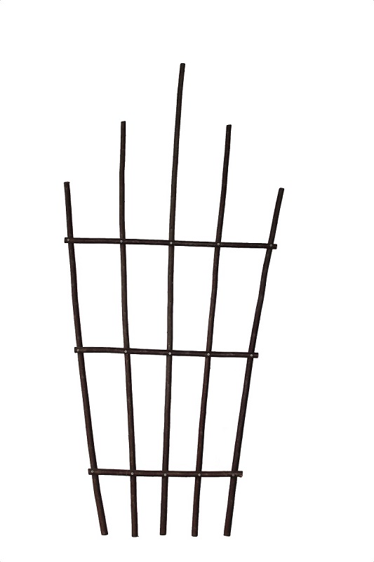 Trellis