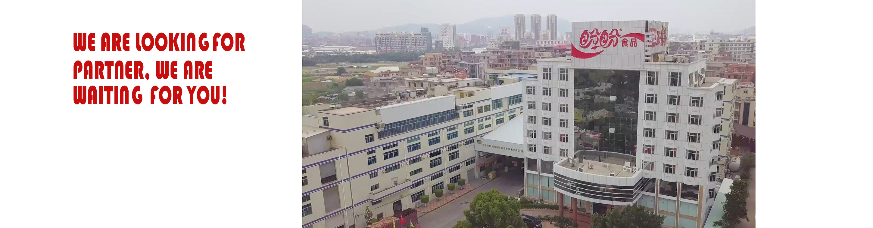 Fujian Jinjiang Fuyuan Food Co., Ltd. – Bread 1
