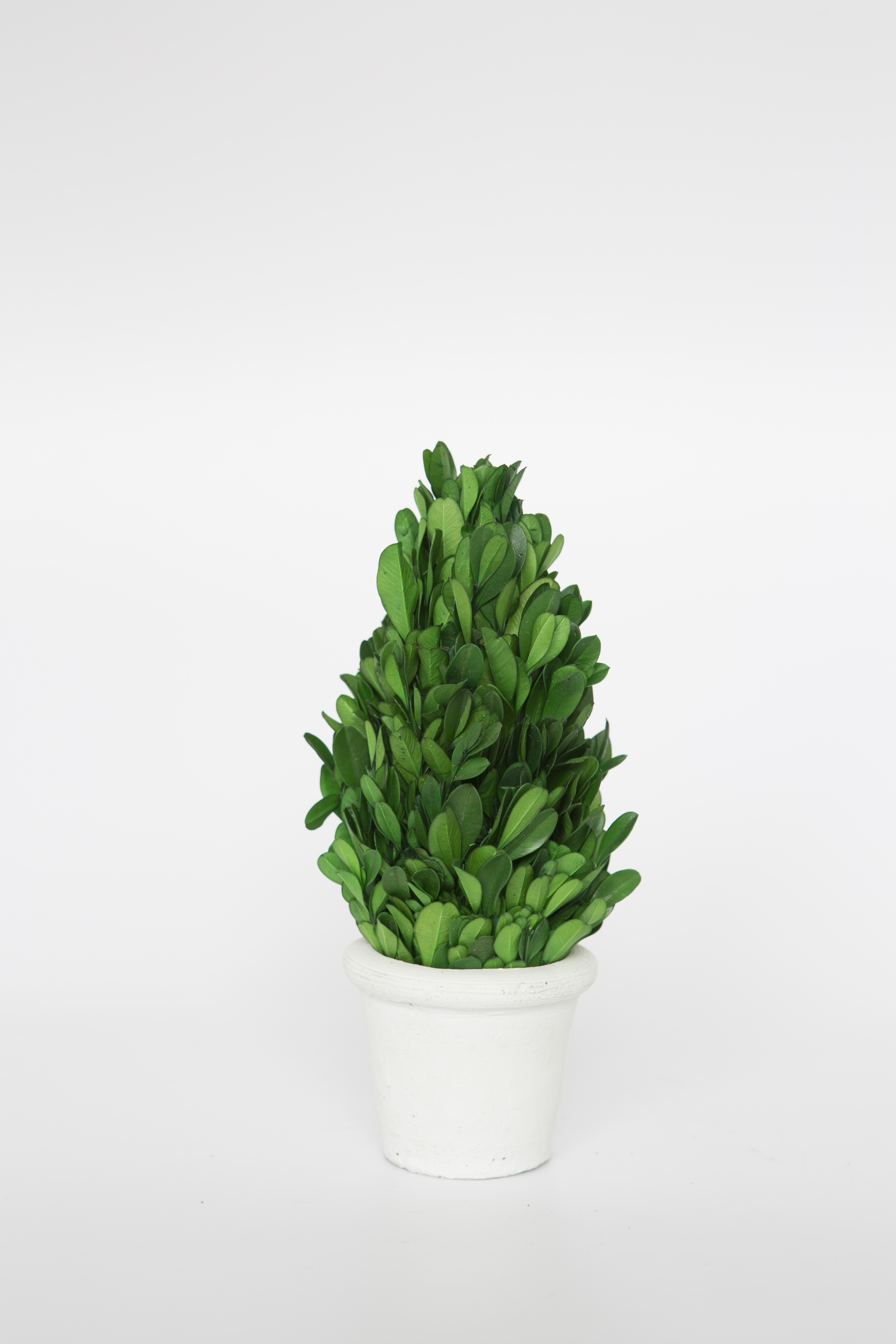 Ling yuan shengshi flowers and flowers co.LTD. – moss 4